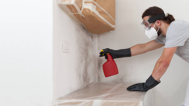 Professional Bathroom Mold Removal technician working in Point Lookout, NY